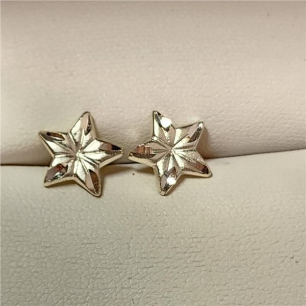 Silver Earrings (~Size 0) (~length 0 inches), Suggested Retail Value $60