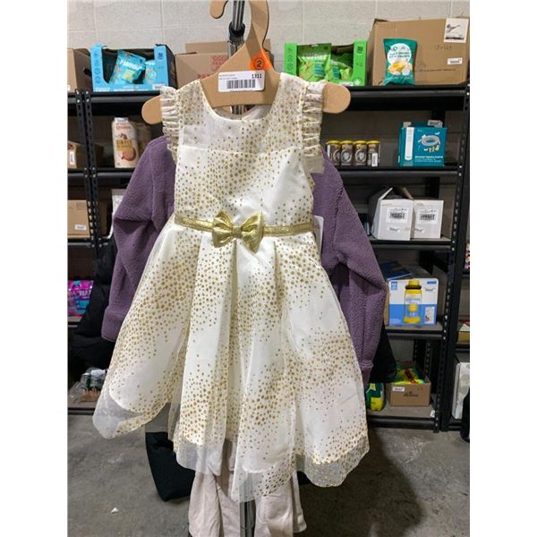 Jona Michelle Toddle Size 2 Dress