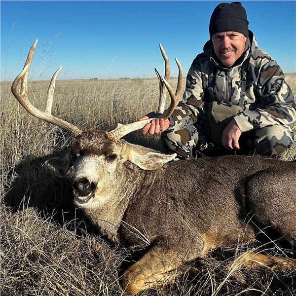 Panhandle Mule Deer Hunt for One