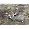 Image 3 : Panhandle Mule Deer Hunt for One