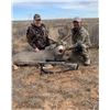 Image 4 : Panhandle Mule Deer Hunt for One