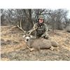 Image 6 : Panhandle Mule Deer Hunt for One