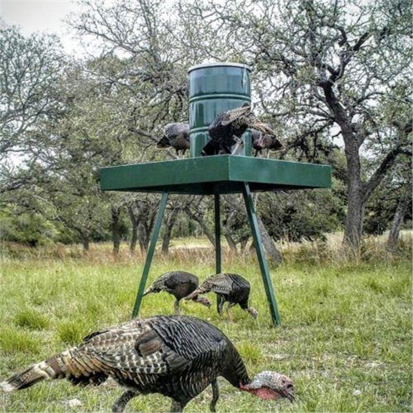 Plateau Platform Wild Bird & Turkey Feeder
