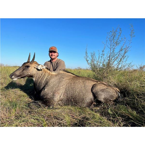 East Foundation/Wildlife Systems Nilgai Hunt