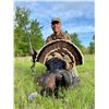 Image 2 : Rio Grande Spring Turkey Hunt at MT7 Ranch for Two
