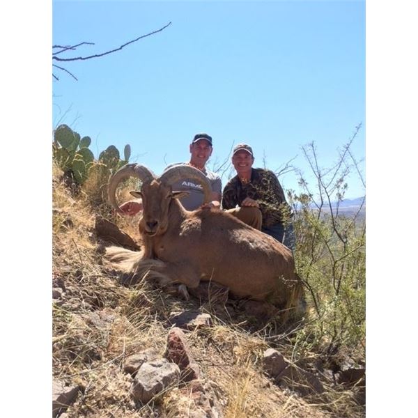 Maxwell's El Cielo Free-Range Aoudad Hunt for One