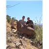 Image 1 : Maxwell's El Cielo Free-Range Aoudad Hunt for One