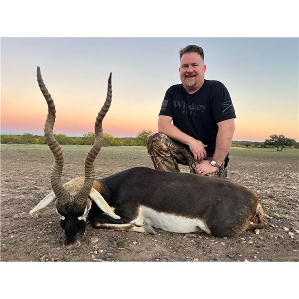South Texas Blackbuck and Dove Hunt