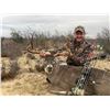 Image 4 : Comanche Ranch Free Range 160 Class Whitetail Hunt