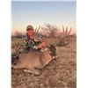 Image 5 : Comanche Ranch Free Range 160 Class Whitetail Hunt