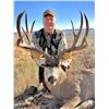 Image 2 : Four Day Trans Pecos Trophy Mule Deer Hunt