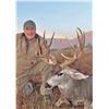 Image 5 : Four Day Trans Pecos Trophy Mule Deer Hunt