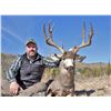 Image 6 : Four Day Trans Pecos Trophy Mule Deer Hunt