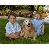Image 2 : Robin Jackson Photography 8x10 Pet Portrait