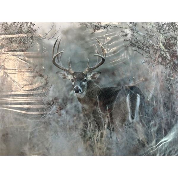 16x24 Canvas Print Whitetail Buck by Dave Richards