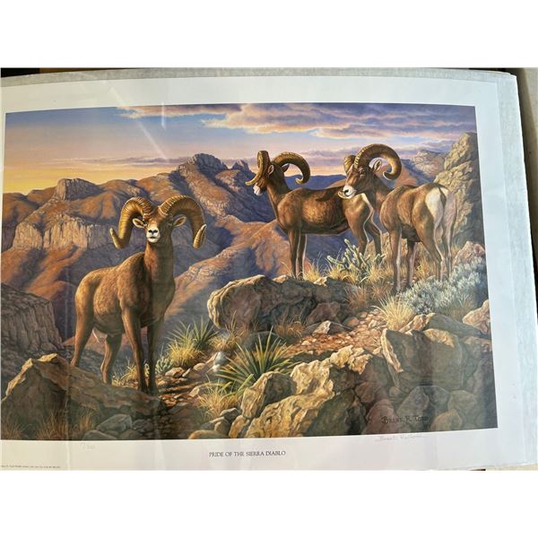 Pride of the Sierra Diablo Print