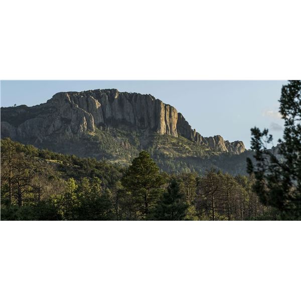 Davis Mountain Preserve Tour and Stay at the Saint George