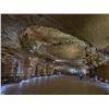 Image 2 : $5,000 Credit for Company Party at Natural Bridge Caverns