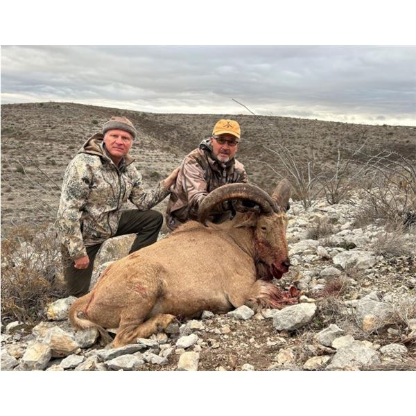 Devils River Aoudad Hunt and Feeder Combo Package