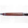 Image 14 : Pre-64 1955 Winchester Model 94 .30-30 Win. 20" Lever Action Rifle