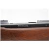 Image 22 : Pre-War 1935 Winchester Model 70 .22 Hornet Bolt Action Rifle