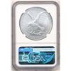 Image 4 : 7K Metals 2022 American Silver Eagle Type 2 NGC MS70 U.S. State Series