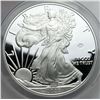 Image 3 : 2020-W American Silver Eagle v75 Privy ANACS PR70 DCAM A First Strike Coin