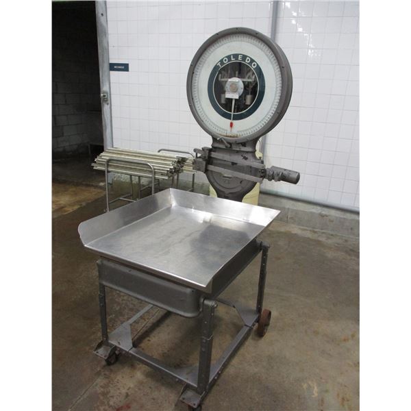 PLATFORM SCALE