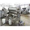 Image 2 : DUAL SHAFT PADDEL MIXER