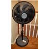 Image 1 : Comfortmate Standing Fan with Remote - Cat A