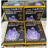 Image 1 : Group of 4 NEW Oidea crystal growing science kits for kids (purple)