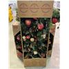 Image 2 : Group of assorted Holiday wreaths