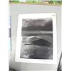 Image 6 : Lot of 9 shrink wrapped prints and 2 prints: shrinkwrapped print 96/100 "Our Land" by Carol Muncy;KH