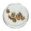 Gold Nuggets 2.95 Grams Total Weight