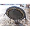 Image 3 : 36" trampoline
