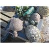 Image 2 : lot of decorations - mostly turtles