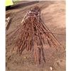 Image 2 : Approx 20' lengths of rebar on pallet
