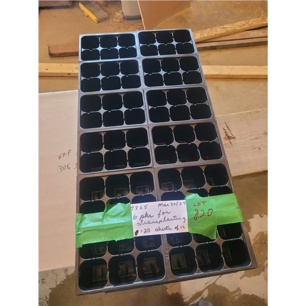 24 six pack transplant packs