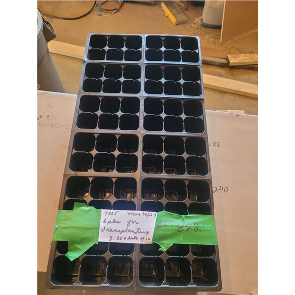 24 six pack transplant packs