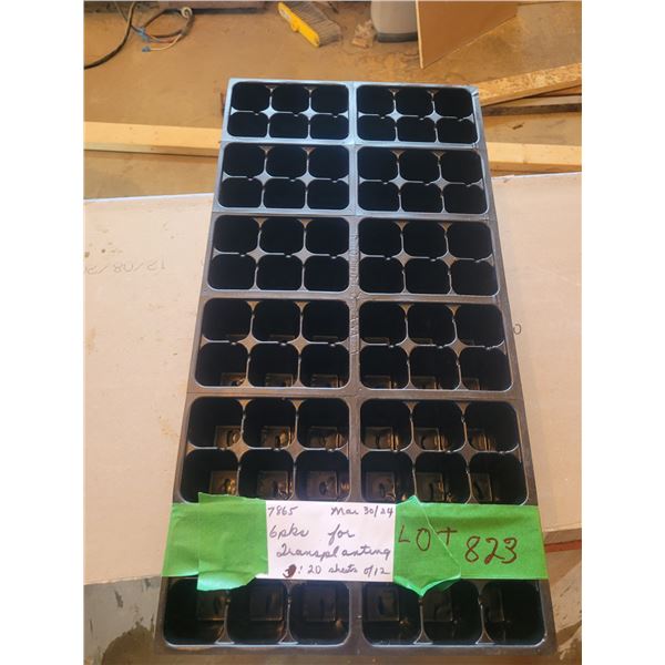 24 six pack transplant packs