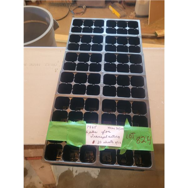 24 six pack transplant packs