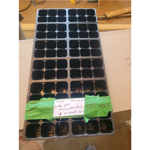 24 six pack transplant packs