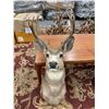 Image 1 : MOUNTED DEER HEAD