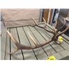 Image 1 : SET OF ELK ANTLERS