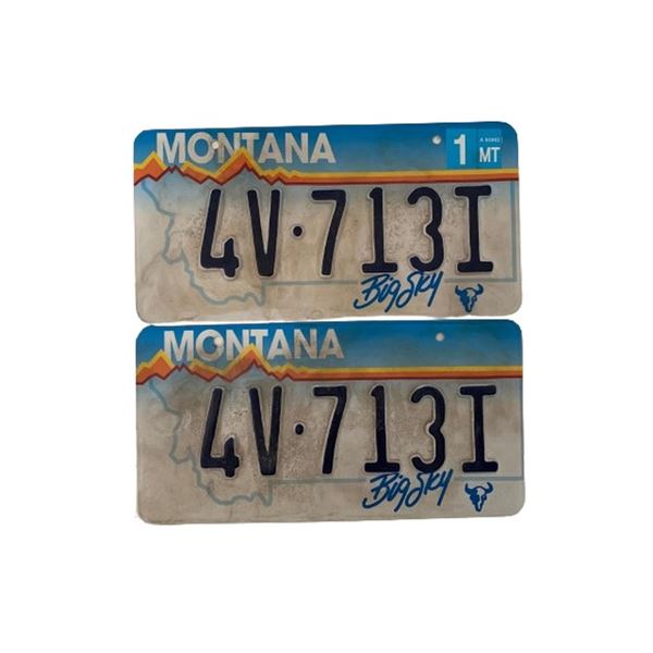 Father Stu Jacki Weaver (Kathleen Long) Screen Used License Plates Movie Props