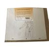 Image 2 : He Man Animation Cel