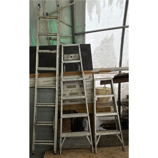 Collection of Aluminum Ladders