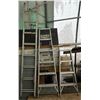 Image 1 : Collection of Aluminum Ladders