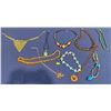 Image 1 : Collection of Costume Jewelry Necklaces