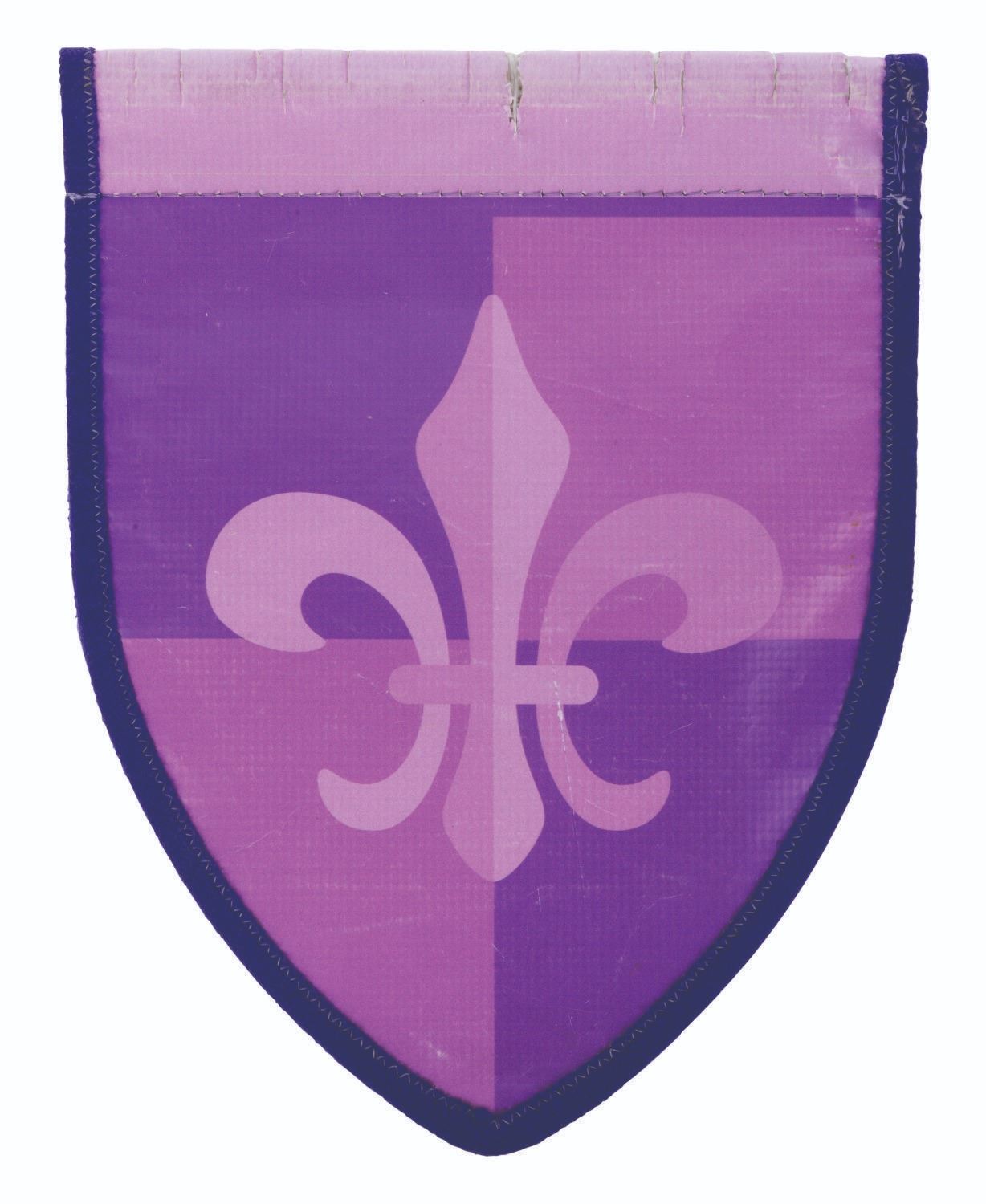 A Fantasyland Crowd Control Flag. - Van Eaton Galleries